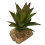 Pianta d'acquario in resina e plastica, Base 7,5 cm, 12,5 cm 13