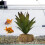 Pianta d'acquario in resina e plastica, Base 7,5 cm, 12,5 cm 7