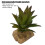 Pianta d'acquario in resina e plastica, Base 7,5 cm, 12,5 cm 6