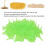 Mini imbuto separatorio in plastica verde 100 pezzi 11