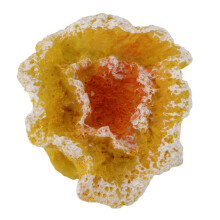 Ornamento in resina a forma di corallo artificiale, dimensioni 5,5 cm (2,2 pollici)