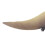 Jouet modèle de ptérosaure simulé 22x9,5x5 cm PVC 9