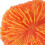 Modello: Sawgrass Orange Base 3.7cm Decorazione per acquario 3
