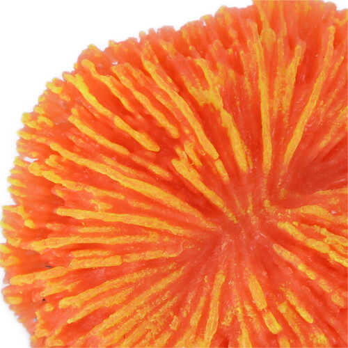 Modello: Sawgrass Orange Base 3.7cm Decorazione per acquario 2