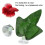 Hamac-feuille Betta Bed en plastique ventouse de 3 cm 7