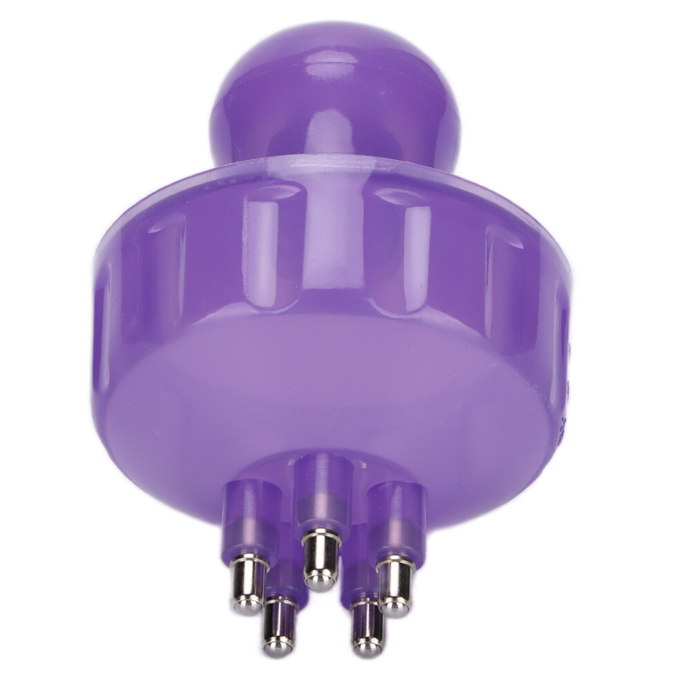 Portable Scalp Applicator Hair Scalp Massaging Brush with Scale for Thinning Hair Hair LossPurple