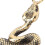 Tirette de fermeture éclair en forme de serpent - Acier au titane doré 8