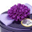 Cône d'encens solide Lavande violette foncée Odeur 5