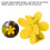 DoubleLockTooth 1pc Clip giallo limone 7.3x4.2cm 6