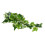 Star Leaf Vine 30 g Dimensione: Da appendere Colore: Come mostrato 6