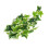 Star Leaf Vine 30 g Dimensione: Da appendere Colore: Come mostrato 13