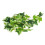 Star Leaf Vine 30 g Dimensione: Da appendere Colore: Come mostrato 15