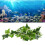 Star Leaf Vine 30 g Dimensione: Da appendere Colore: Come mostrato 14