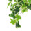 Star Leaf Vine 30 g Dimensione: Da appendere Colore: Come mostrato 10