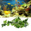 Star Leaf Vine 30 g Dimensione: Da appendere Colore: Come mostrato 1