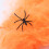 Ragnatela 5 pezzi Arancione Halloween Interno/Esterno 6