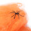 Ragnatela 5 pezzi Arancione Halloween Interno/Esterno 11