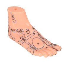 2 pièces Modèle de point d'acupuncture du pied en PVC pour l'enseignement