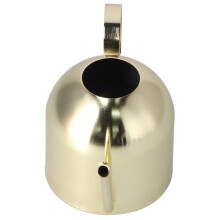 Arrosoir en inox doré de 1000 ml 27 x 11 x 15,5 cm
