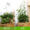 100 pezzi Supporto a parete per rampicanti 3,5 x 2 x 2 cm Bianco 9