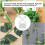 100 pezzi Supporto a parete per rampicanti 3,5 x 2 x 2 cm Bianco 8
