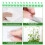 100 pezzi Supporto a parete per rampicanti 3,5 x 2 x 2 cm Bianco 5