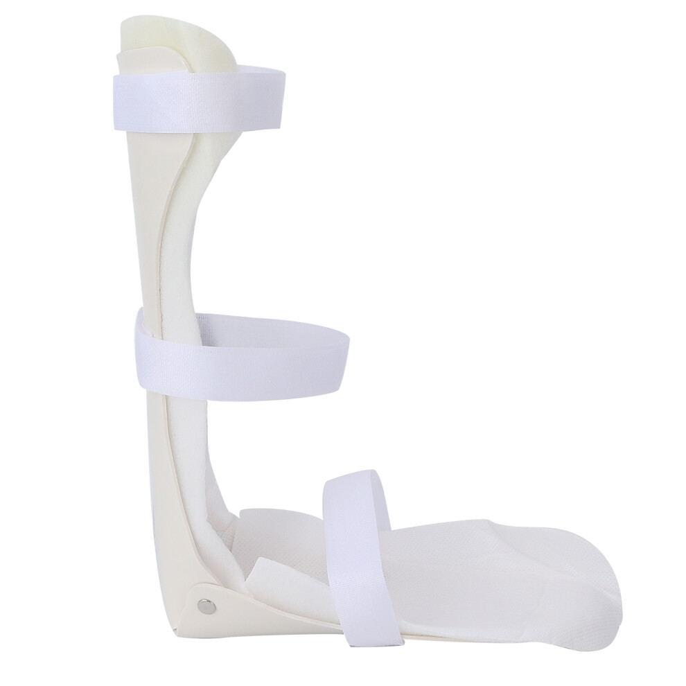 Foot Orthosis Drop Foot Ankle Support Correction Brace for Achilles Tendon InjuryRight L