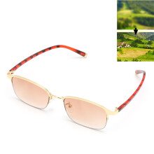 Lunettes de lecture bloquant la lumière bleue cadre doré+200