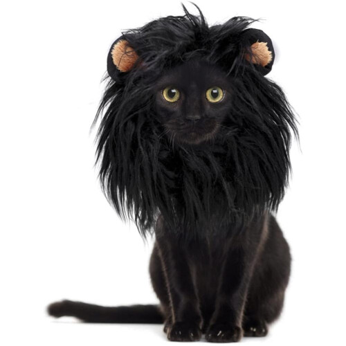 Perruque pour animal de compagnie (chien/chat) - accessoire capillaire - Noir - S/M/L 1