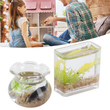 2 pièces 1:12 Bols à poisson carrés et ronds, couleurs variées