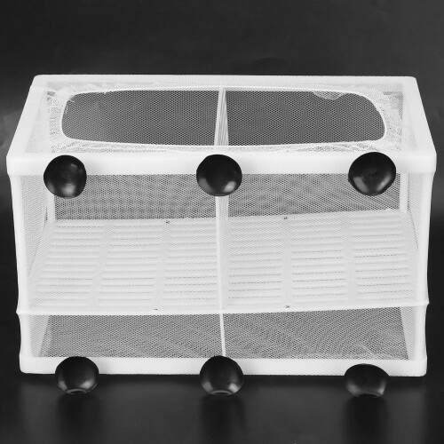 Boîte d'élevage L 26,2x15x15 cm, plastique + gaze 2
