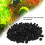 Pallina biochimica 200 pezzi 16 mm/0,6 in nero 4
