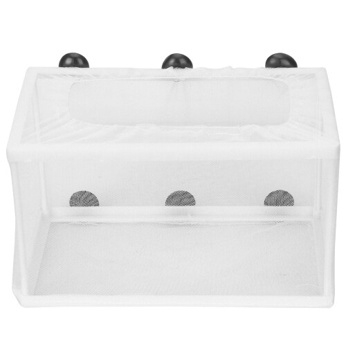 Boîte d'élevage pour aquarium - écloserie - ventouse de 3 cm