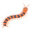 9901 Centipede RC couleur intermédiaire 150mAh 10m 5