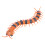9901 Centipede RC couleur intermédiaire 150mAh 10m 14