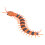 9901 Centipede RC couleur intermédiaire 150mAh 10m 10