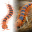 9901 Centipede RC couleur intermédiaire 150mAh 10m 9