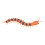 9901 Centipede RC couleur intermédiaire 150mAh 10m 15