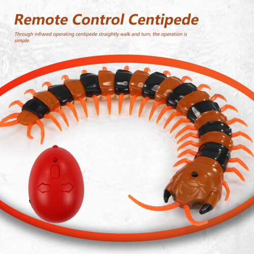 9901 Centipede RC couleur intermédiaire 150mAh 10m 2