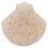 Éponge faciale konjac en forme de coquille - exfoliante 11