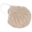 Éponge faciale konjac en forme de coquille - exfoliante 2