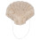 Éponge faciale konjac en forme de coquille - exfoliante 1