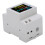 D52-2066 Compteur de wattheures sur rail ABS 100 A 220 V 13