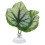 Betta Leaf Hammock in plastica verde, 3 cm / 1,2 pollici 2