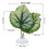 Betta Leaf Hammock in plastica verde, 3 cm / 1,2 pollici 7