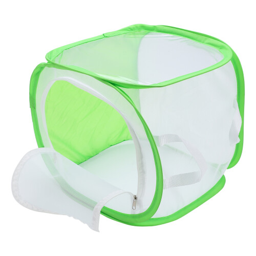 Cage à insectes pliable avec fenêtre en maille et fermeture éclair, 31 cm 2