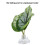 Betta Leaf Hammock in plastica verde, 3 cm / 1,2 pollici 4