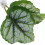 Betta Leaf Hammock in plastica verde, 3 cm / 1,2 pollici 5