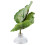 Betta Leaf Hammock in plastica verde, 3 cm / 1,2 pollici 6