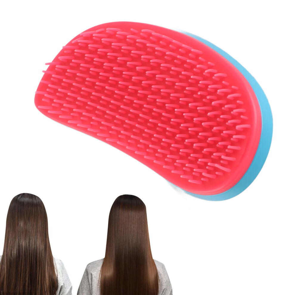 Detangling Hairbrush Professional Home Detangler Hair Brush Comb for Curly HairBlue